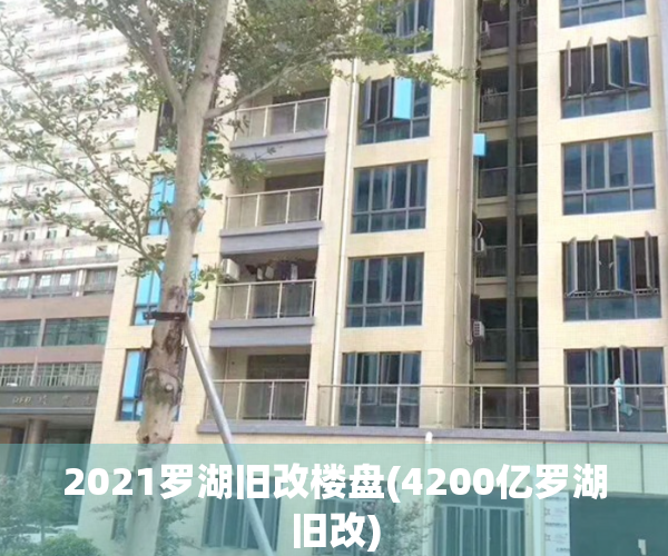 2021罗湖旧改楼盘(4200亿罗湖旧改)