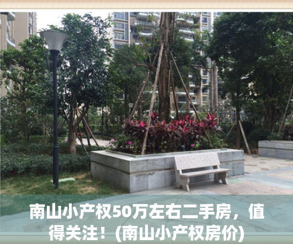 南山小产权50万左右二手房，值得关注！(南山小产权房价)