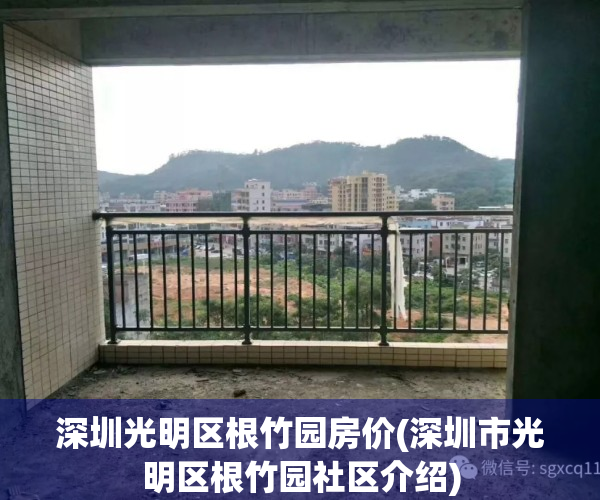 深圳光明区根竹园房价(深圳市光明区根竹园社区介绍)