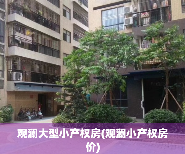 观澜大型小产权房(观澜小产权房价)