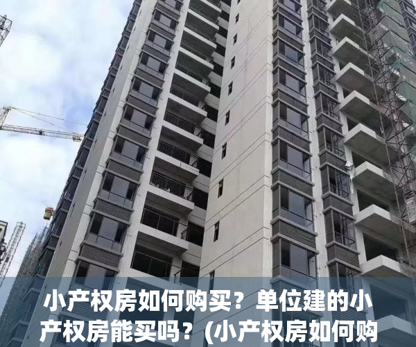 小产权房如何购买？单位建的小产权房能买吗？(小产权房如何购买?单位建的小产权房能买吗)