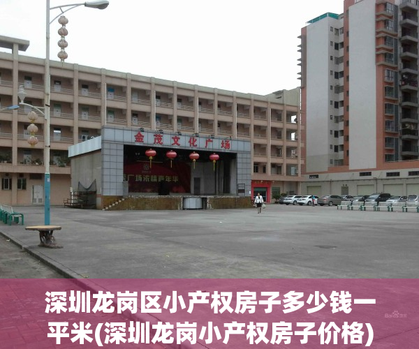深圳龙岗区小产权房子多少钱一平米(深圳龙岗小产权房子价格)