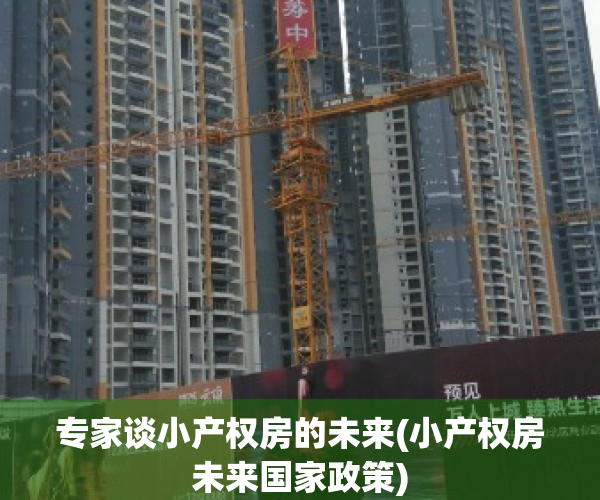 专家谈小产权房的未来(小产权房未来国家政策)