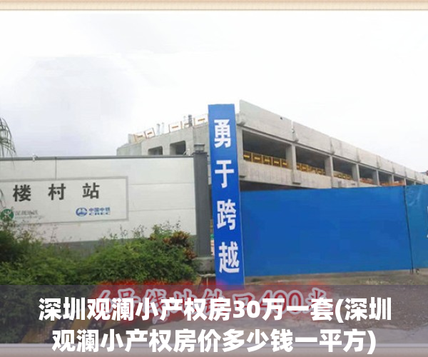 深圳观澜小产权房30万一套(深圳观澜小产权房价多少钱一平方)