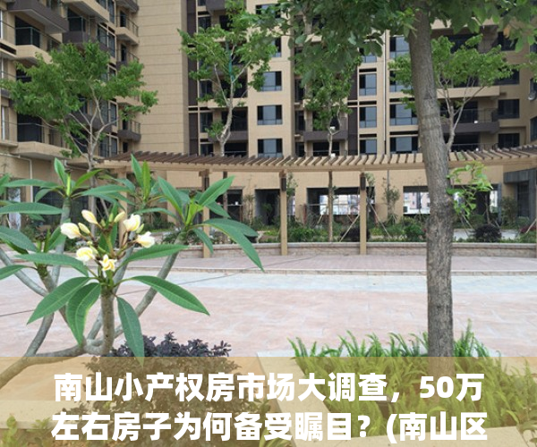 南山小产权房市场大调查，50万左右房子为何备受瞩目？(南山区小产权)