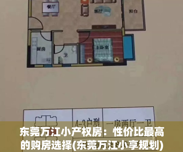 东莞万江小产权房：性价比最高的购房选择(东莞万江小享规划)