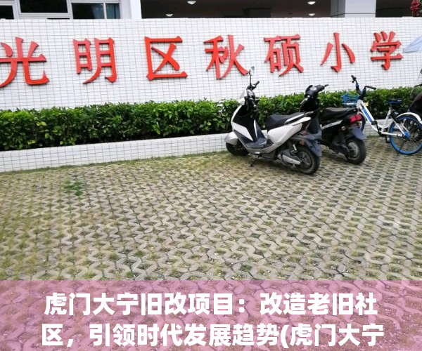 虎门大宁旧改项目：改造老旧社区，引领时代发展趋势(虎门大宁 土拍)