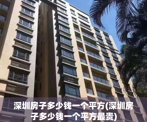 深圳房子多少钱一个平方(深圳房子多少钱一个平方最贵)
