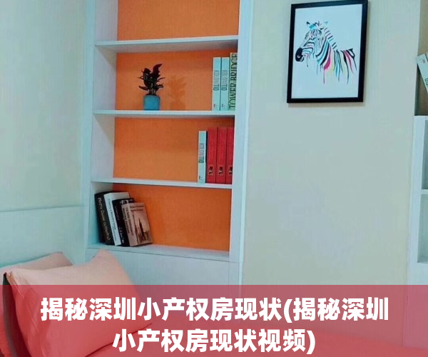 揭秘深圳小产权房现状(揭秘深圳小产权房现状视频)