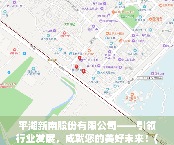 平湖新南股份有限公司——引领行业发展，成就您的美好未来！(平湖新南学校怎么样)