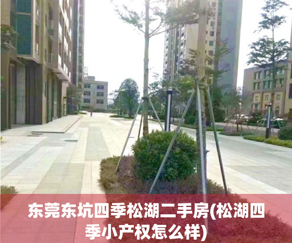 东莞东坑四季松湖二手房(松湖四季小产权怎么样)