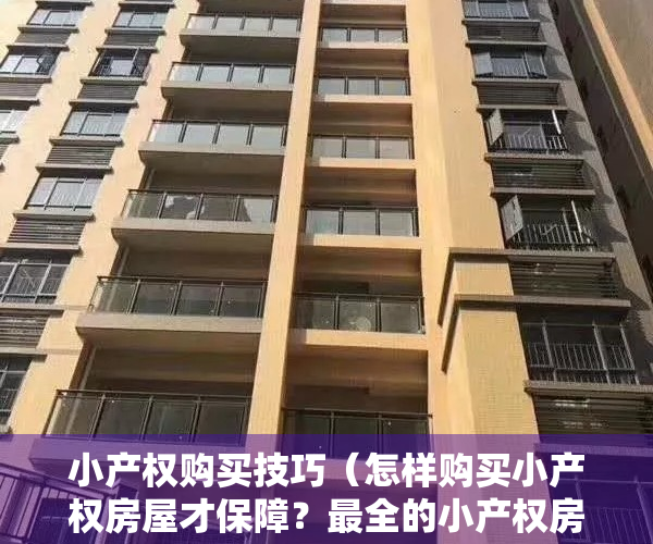 小产权购买技巧（怎样购买小产权房屋才保障？最全的小产权房屋买卖合同有哪些？）