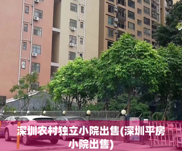 深圳农村独立小院出售(深圳平房小院出售)