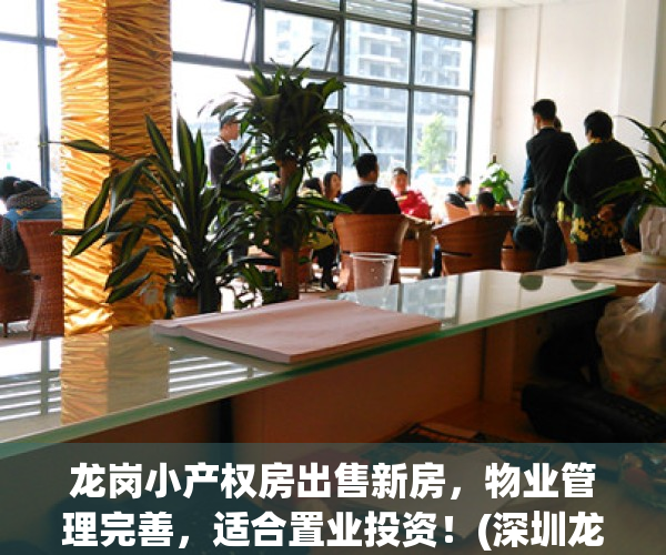 龙岗小产权房出售新房，物业管理完善，适合置业投资！(深圳龙岗小产权房多少钱一平方)