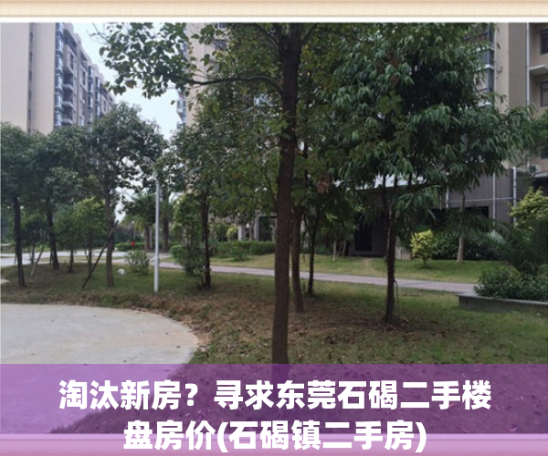 淘汰新房？寻求东莞石碣二手楼盘房价(石碣镇二手房)