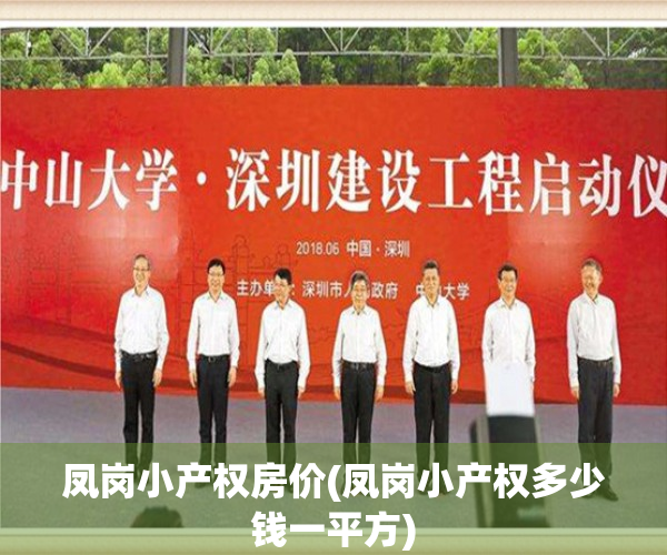 凤岗小产权房价(凤岗小产权多少钱一平方)