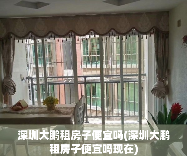 深圳大鹏租房子便宜吗(深圳大鹏租房子便宜吗现在)