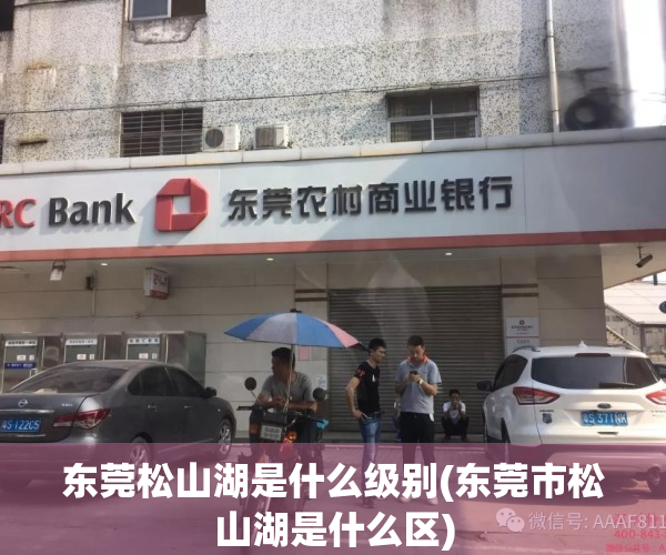 东莞松山湖是什么级别(东莞市松山湖是什么区)