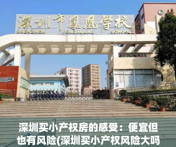 深圳买小产权房的感受：便宜但也有风险(深圳买小产权风险大吗)
