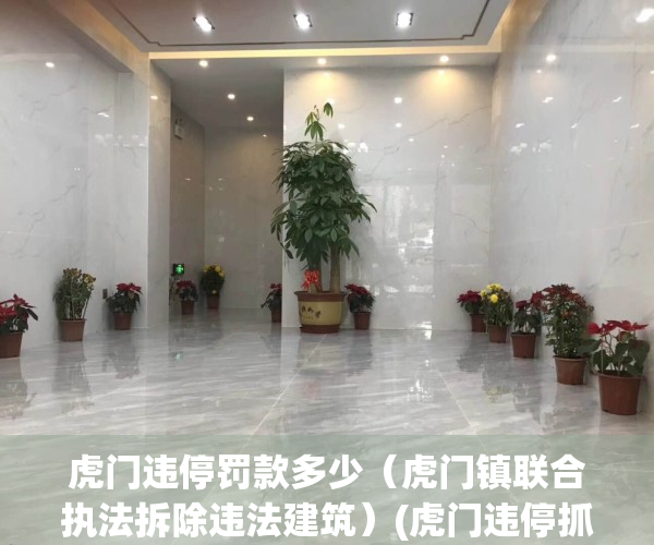 虎门违停罚款多少（虎门镇联合执法拆除违法建筑）(虎门违停抓拍条件)