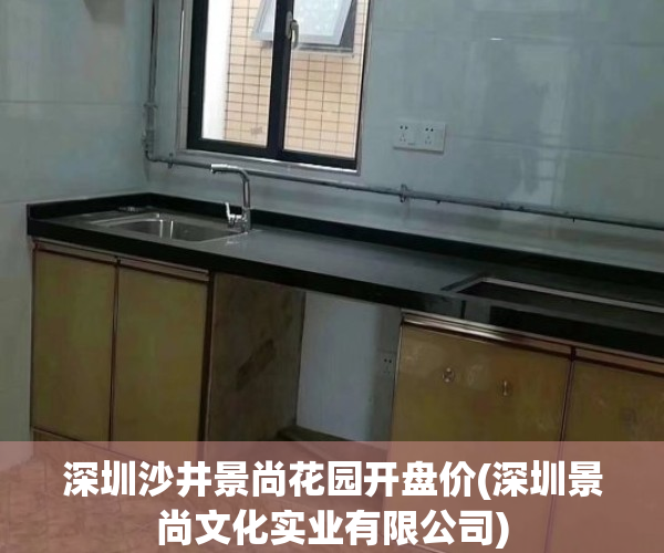 深圳沙井景尚花园开盘价(深圳景尚文化实业有限公司)