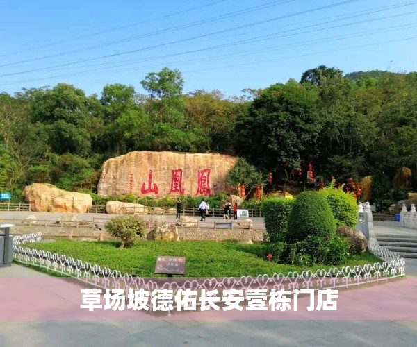 草场坡德佑长安壹栋门店
