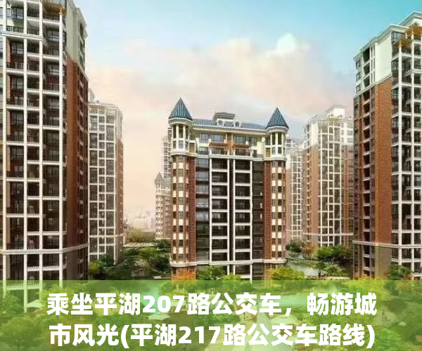 乘坐平湖207路公交车，畅游城市风光(平湖217路公交车路线)