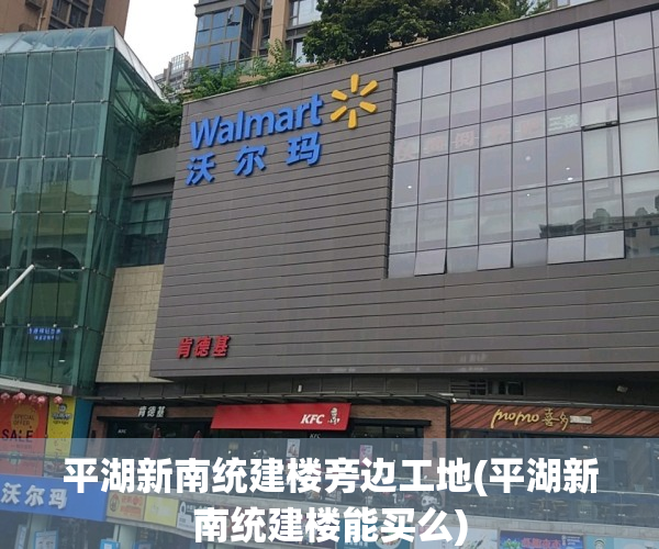 平湖新南统建楼旁边工地(平湖新南统建楼能买么)