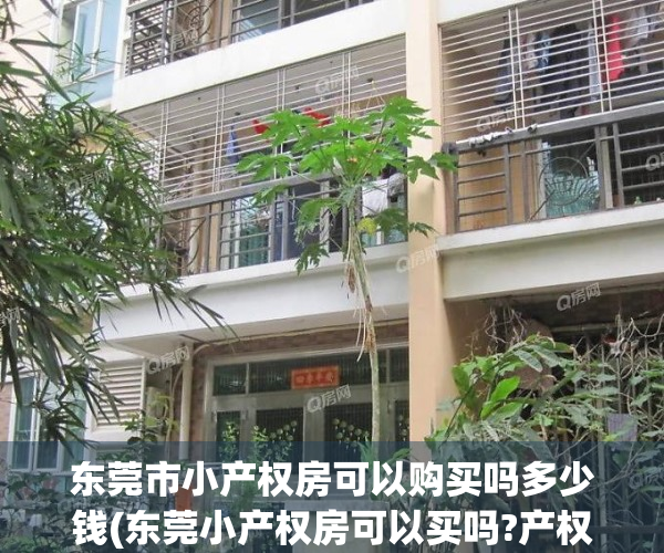 东莞市小产权房可以购买吗多少钱(东莞小产权房可以买吗?产权房)