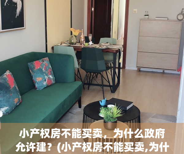 小产权房不能买卖，为什么政府允许建？(小产权房不能买卖,为什么政府允许建房)