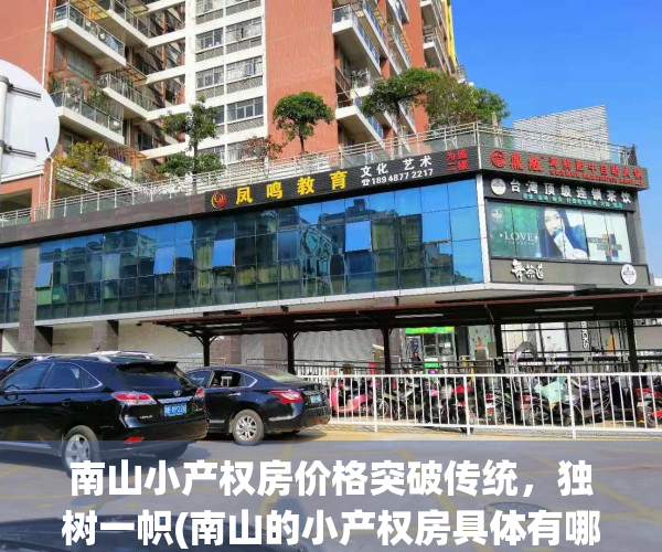 南山小产权房价格突破传统，独树一帜(南山的小产权房具体有哪些)