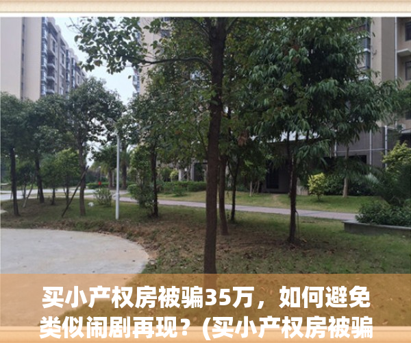买小产权房被骗35万，如何避免类似闹剧再现？(买小产权房被骗可以报案吗)