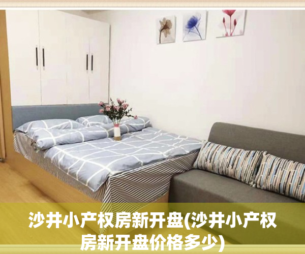 沙井小产权房新开盘(沙井小产权房新开盘价格多少)