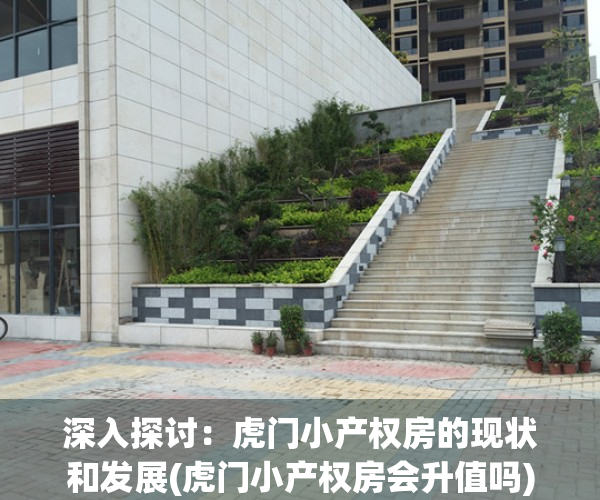 深入探讨：虎门小产权房的现状和发展(虎门小产权房会升值吗)
