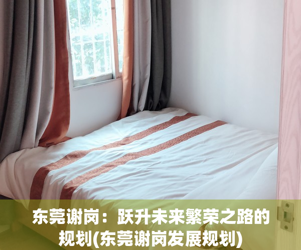 东莞谢岗：跃升未来繁荣之路的规划(东莞谢岗发展规划)