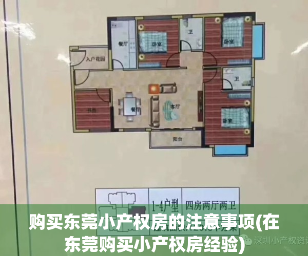 购买东莞小产权房的注意事项(在东莞购买小产权房经验)
