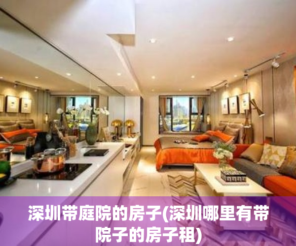 深圳带庭院的房子(深圳哪里有带院子的房子租)