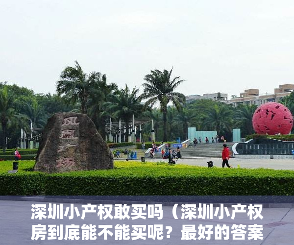 深圳小产权敢买吗（深圳小产权房到底能不能买呢？最好的答案告诉你！）