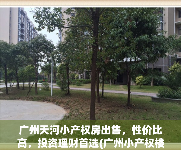 广州天河小产权房出售，性价比高，投资理财首选(广州小产权楼盘)