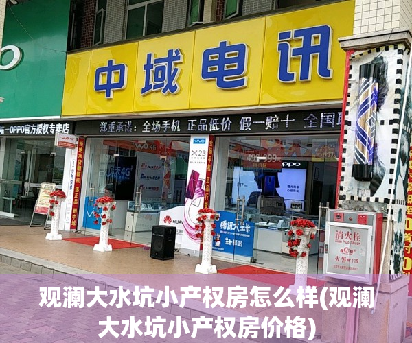 观澜大水坑小产权房怎么样(观澜大水坑小产权房价格)
