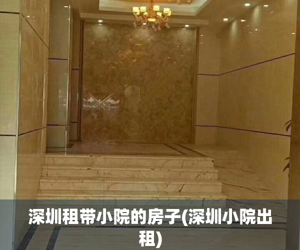 深圳租带小院的房子(深圳小院出租)