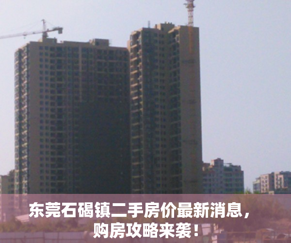 东莞石碣镇二手房价最新消息， 购房攻略来袭！