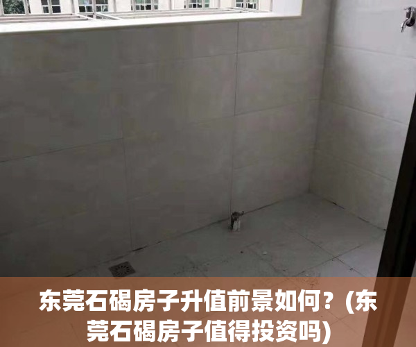 东莞石碣房子升值前景如何？(东莞石碣房子值得投资吗)