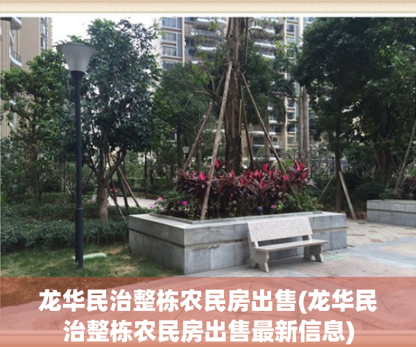 龙华民治整栋农民房出售(龙华民治整栋农民房出售最新信息)
