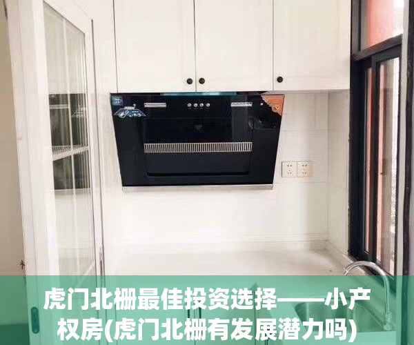 虎门北栅最佳投资选择——小产权房(虎门北栅有发展潜力吗)