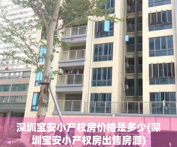 深圳宝安小产权房价格是多少(深圳宝安小产权房出售房源)