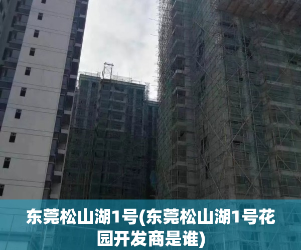 东莞松山湖1号(东莞松山湖1号花园开发商是谁)