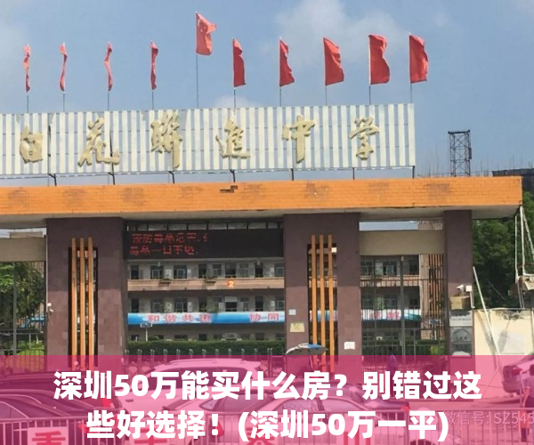 深圳50万能买什么房？别错过这些好选择！(深圳50万一平)