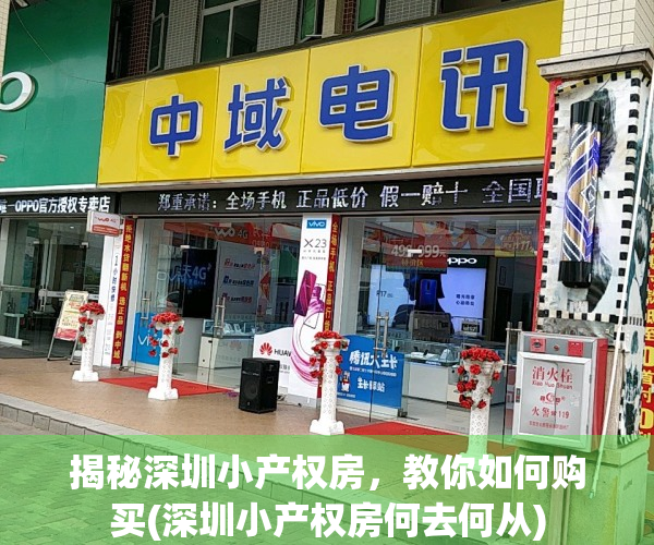 揭秘深圳小产权房，教你如何购买(深圳小产权房何去何从)