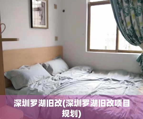 深圳罗湖旧改(深圳罗湖旧改项目规划)